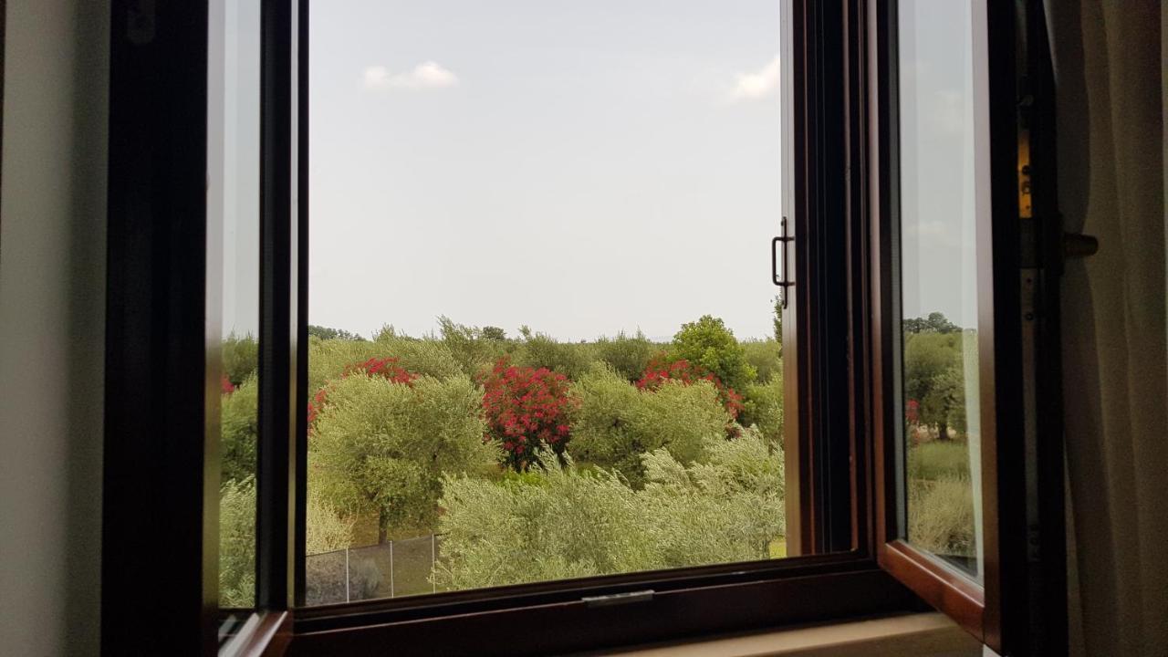 Il Casale Degli Ulivi - Agriturismo - Tenimenti Leone Lanuvio Kültér fotó