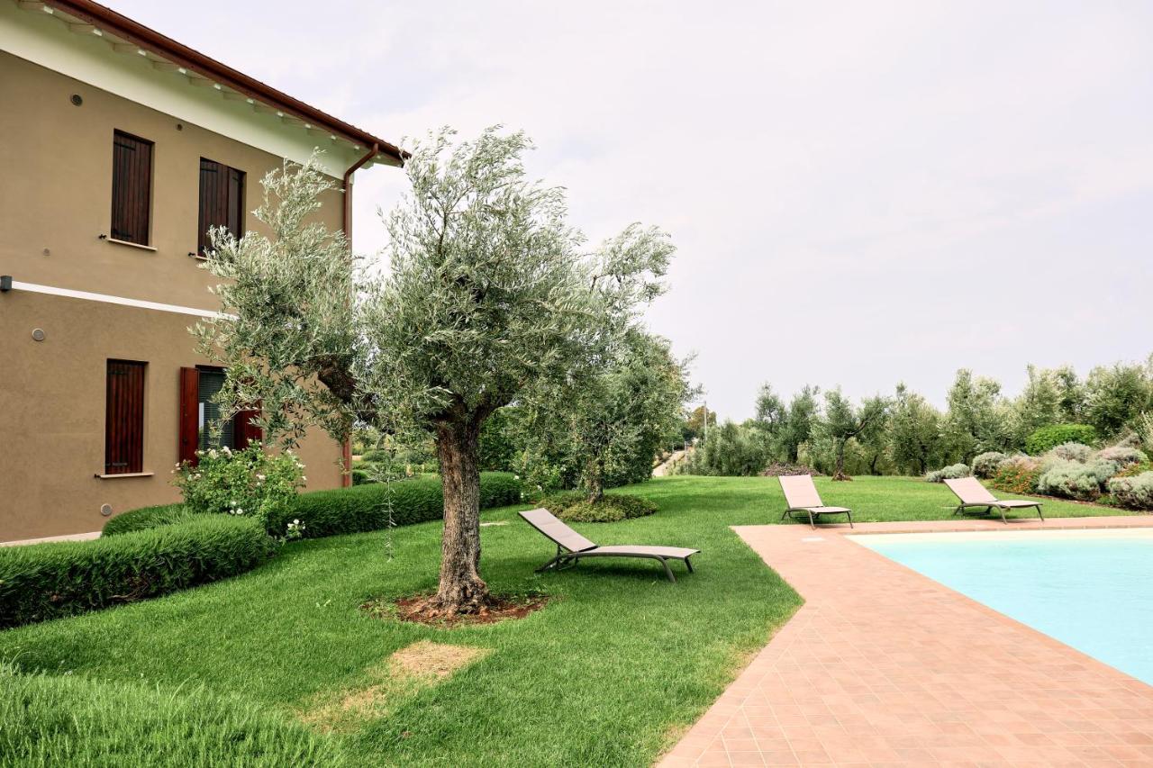 Il Casale Degli Ulivi - Agriturismo - Tenimenti Leone Lanuvio Kültér fotó