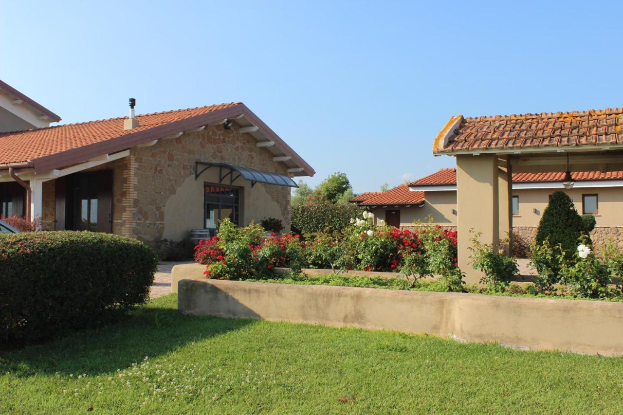 Il Casale Degli Ulivi - Agriturismo - Tenimenti Leone Lanuvio Kültér fotó