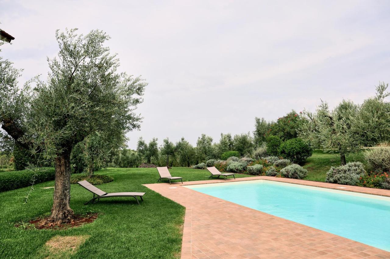 Il Casale Degli Ulivi - Agriturismo - Tenimenti Leone Lanuvio Kültér fotó