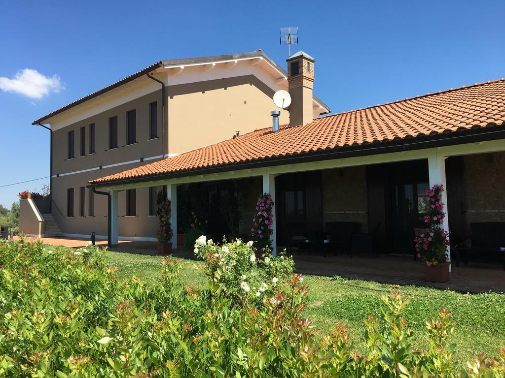 Il Casale Degli Ulivi - Agriturismo - Tenimenti Leone Lanuvio Kültér fotó