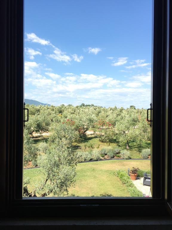 Il Casale Degli Ulivi - Agriturismo - Tenimenti Leone Lanuvio Kültér fotó