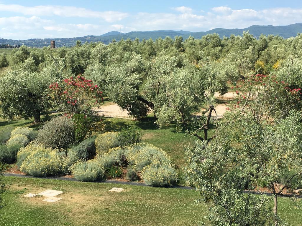 Il Casale Degli Ulivi - Agriturismo - Tenimenti Leone Lanuvio Kültér fotó