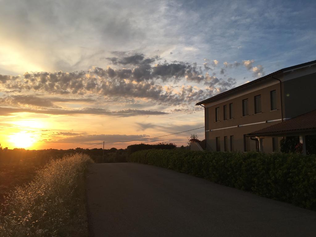 Il Casale Degli Ulivi - Agriturismo - Tenimenti Leone Lanuvio Kültér fotó
