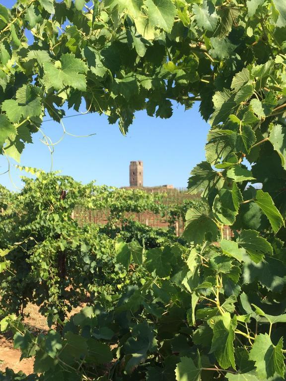 Il Casale Degli Ulivi - Agriturismo - Tenimenti Leone Lanuvio Kültér fotó