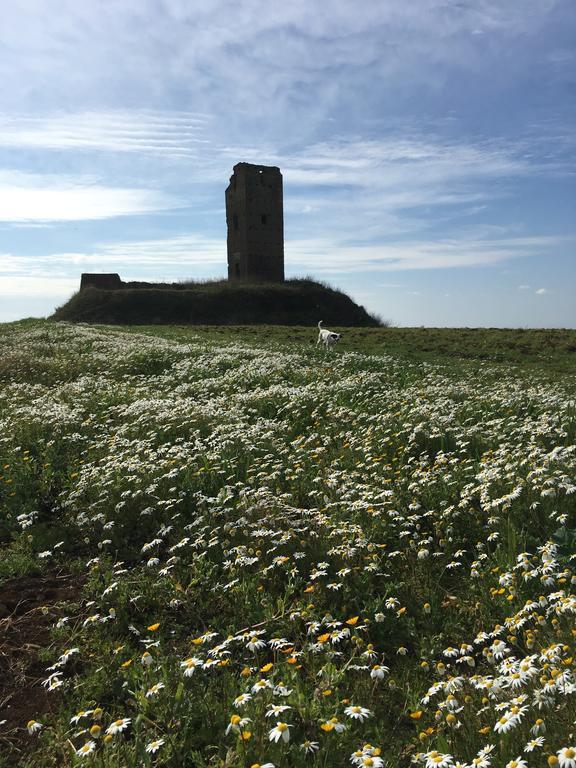 Il Casale Degli Ulivi - Agriturismo - Tenimenti Leone Lanuvio Kültér fotó
