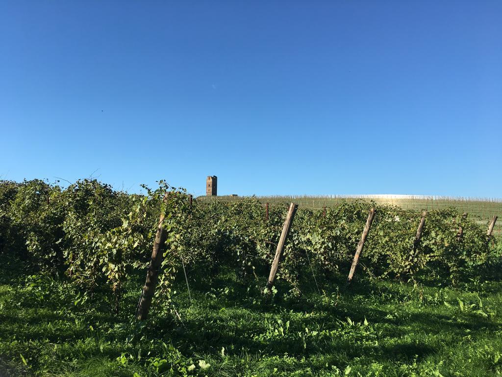 Il Casale Degli Ulivi - Agriturismo - Tenimenti Leone Lanuvio Kültér fotó