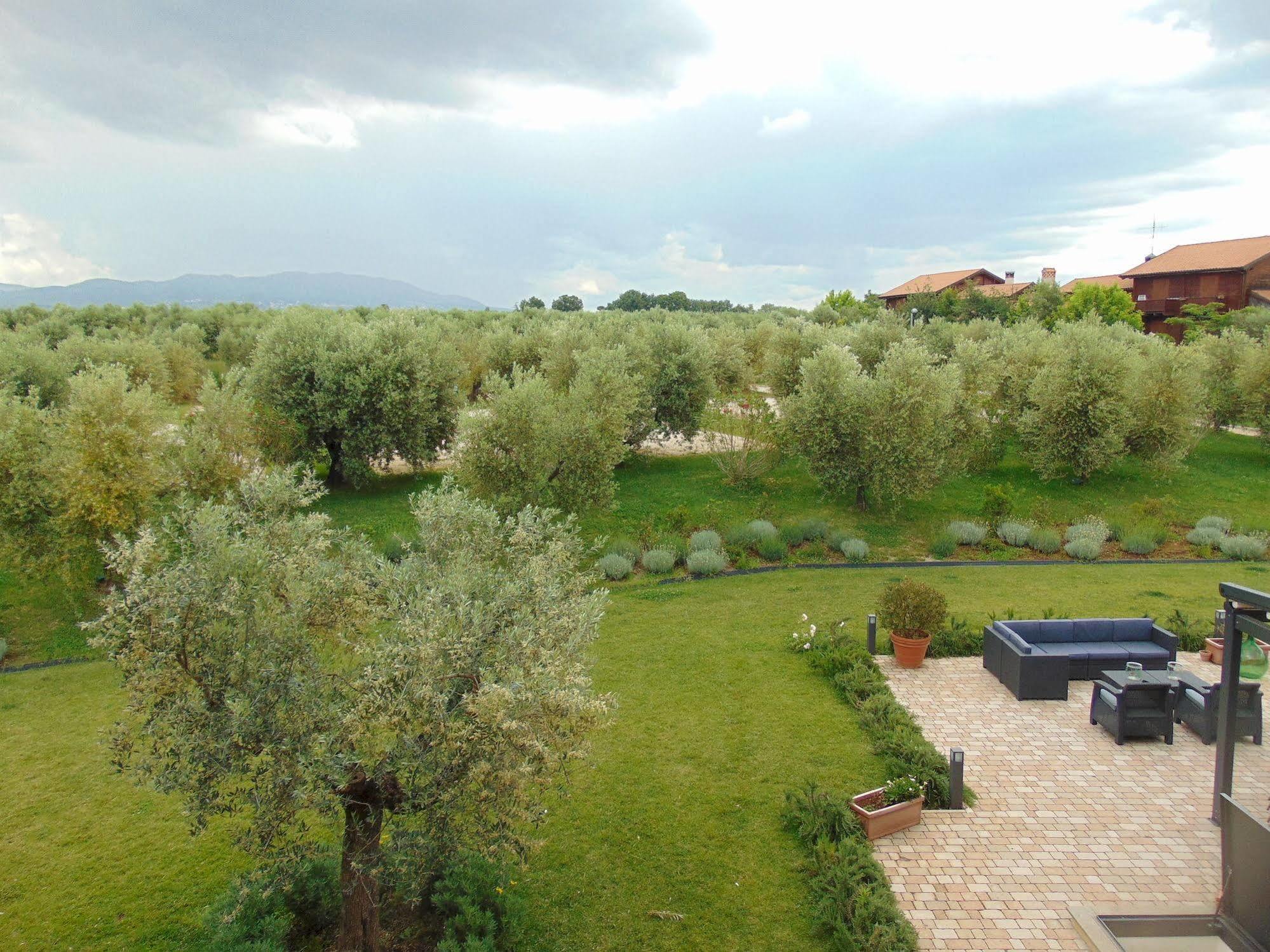 Il Casale Degli Ulivi - Agriturismo - Tenimenti Leone Lanuvio Kültér fotó