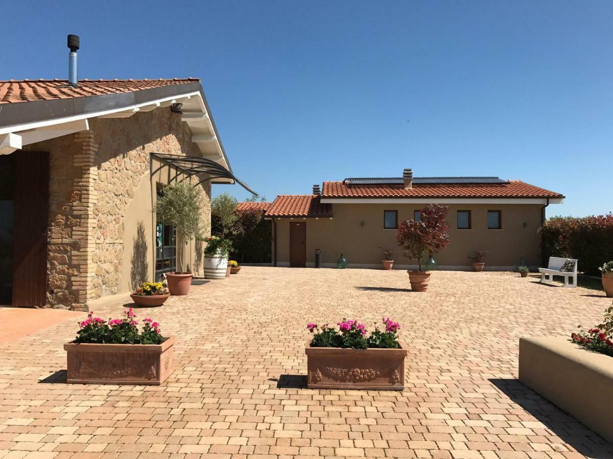Il Casale Degli Ulivi - Agriturismo - Tenimenti Leone Lanuvio Kültér fotó