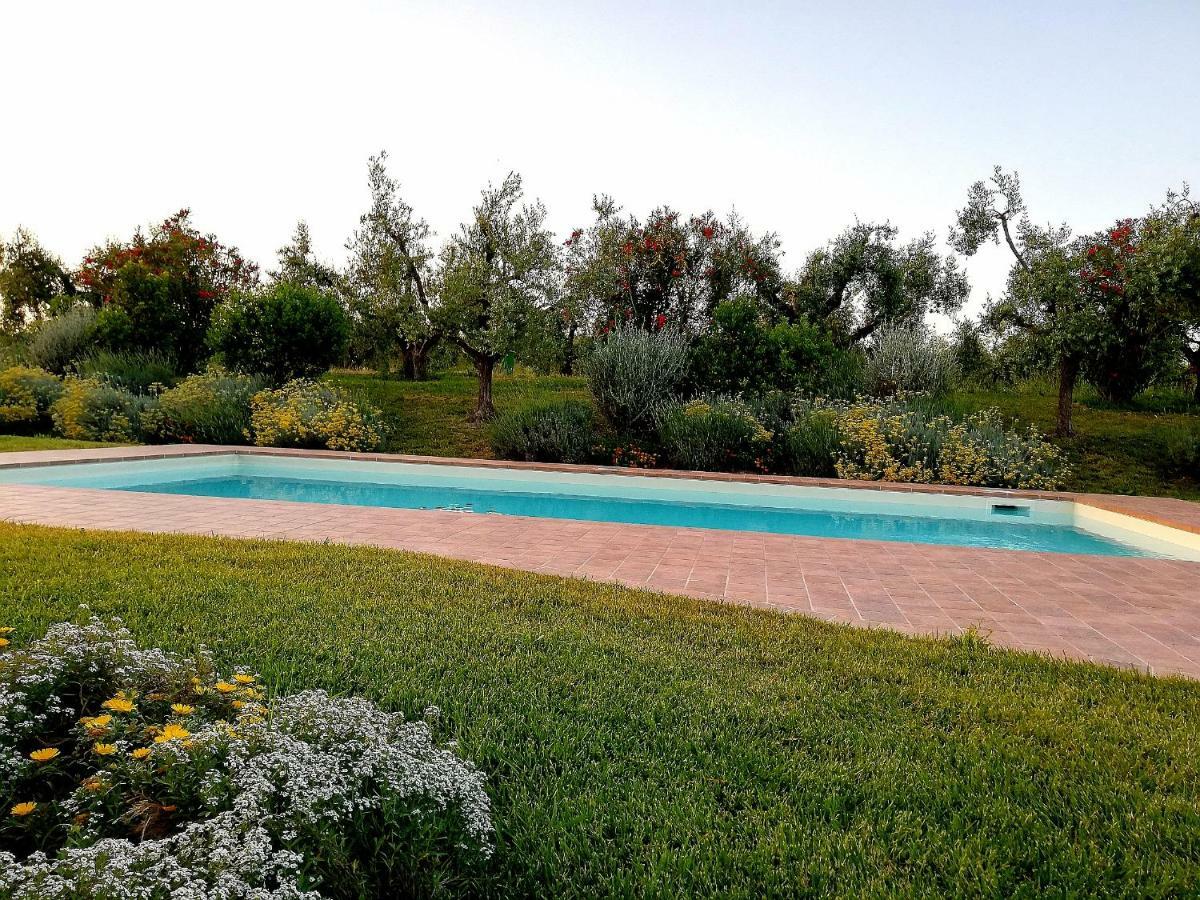 Il Casale Degli Ulivi - Agriturismo - Tenimenti Leone Lanuvio Kültér fotó