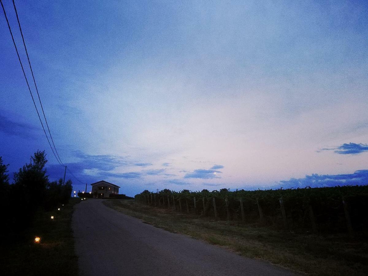 Il Casale Degli Ulivi - Agriturismo - Tenimenti Leone Lanuvio Kültér fotó
